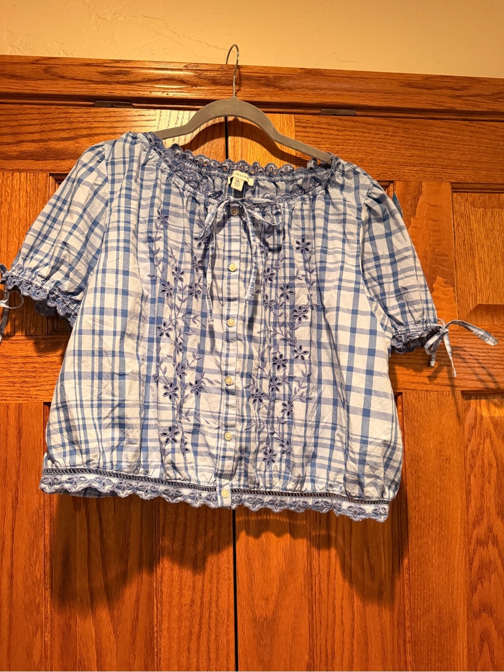 Free Assembly Blue Plaid Embroidered Peasant Blouse